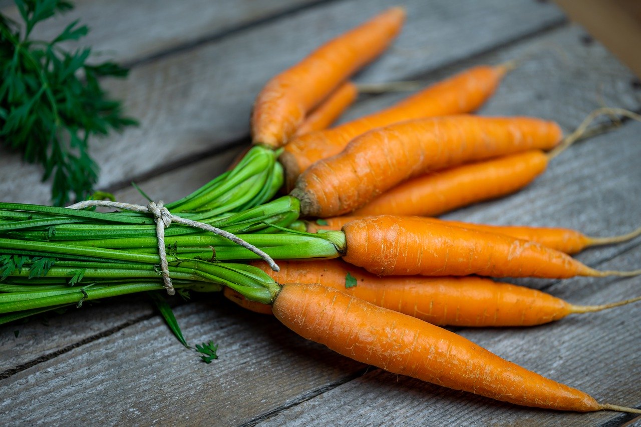 Le circuit court de produits locaux : Foodtrack